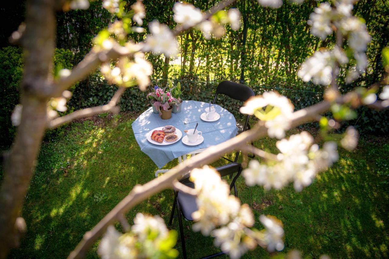 My Sweet Garden - By Myhomeincomo Cassina Rizzardi Extérieur photo